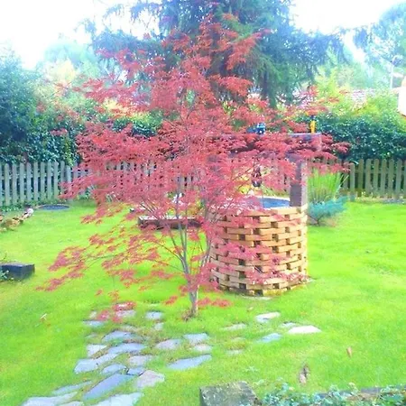 וילה Spacious With Private Pool In La Puebla De Castro